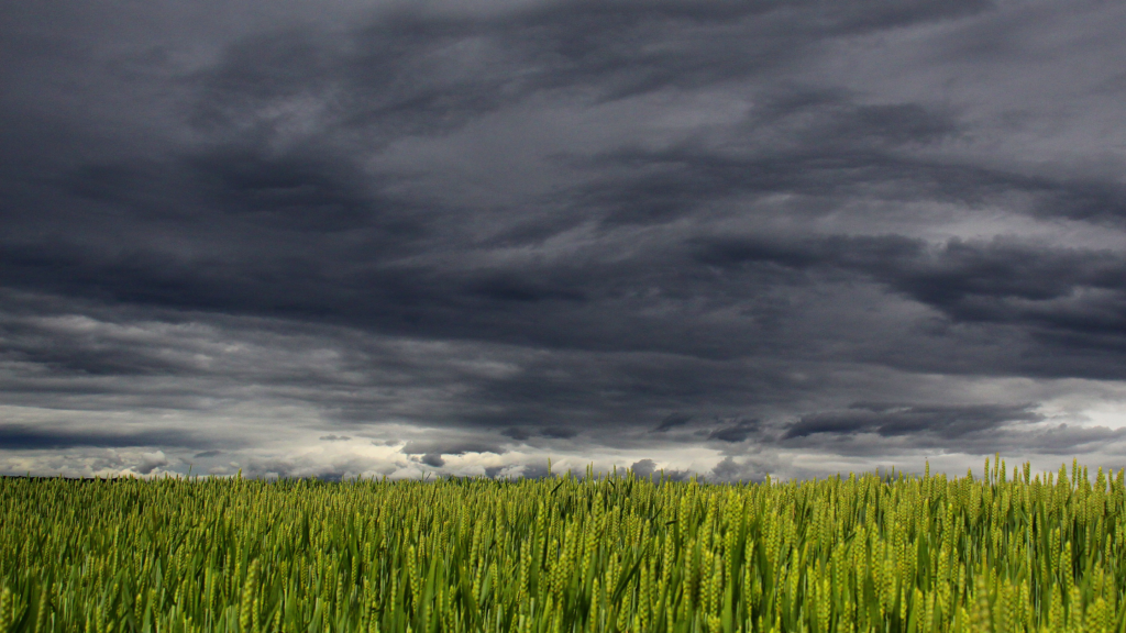 stock photo of a storm breaking over a field.